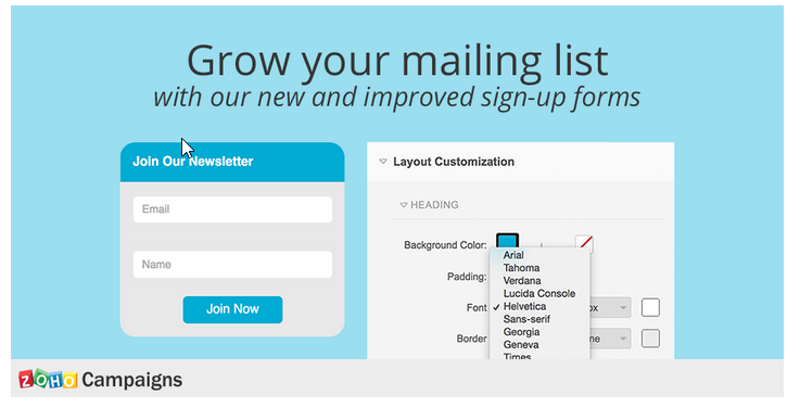 Zoho Campaigns subscription form features.