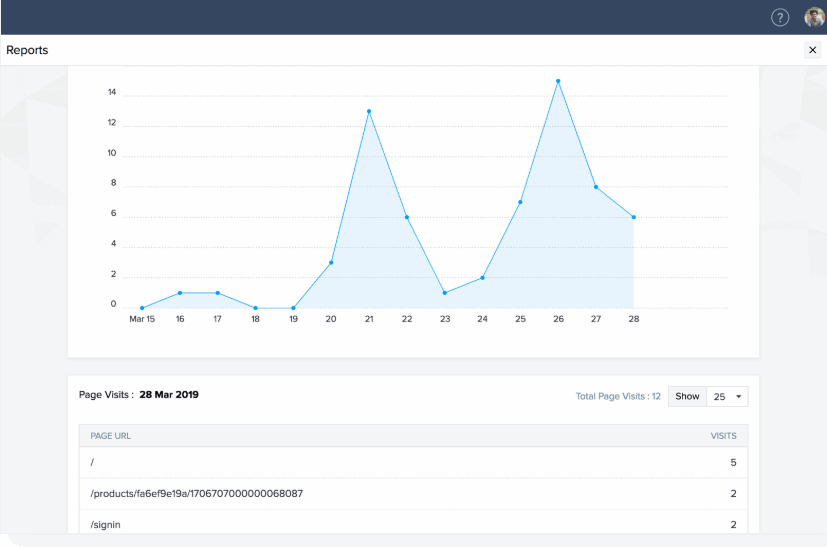 Website metrics shown in Zoho Commerce reports