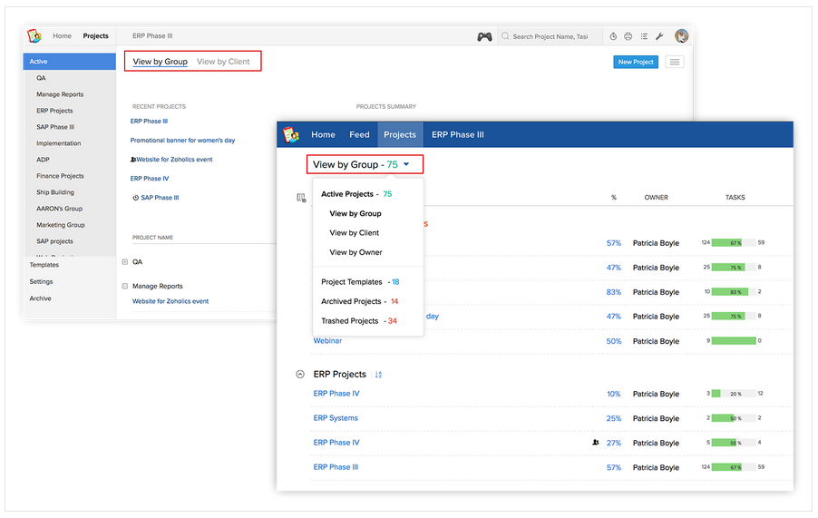 Zoho Projects allows you to manage many projects in one portal