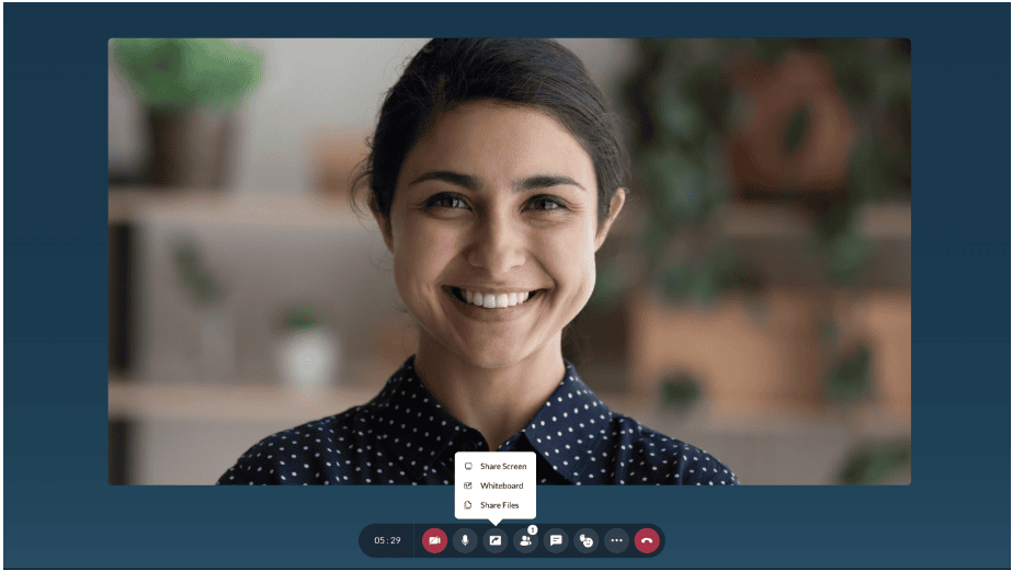 Zoho Meeting online meeting software annotator function